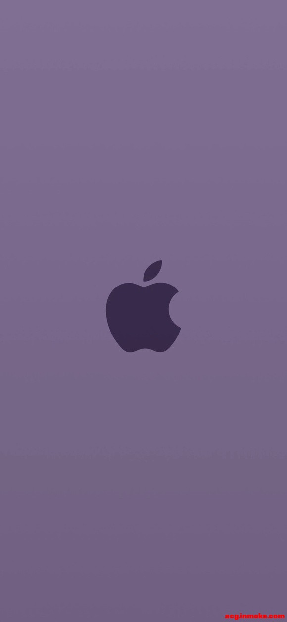 �߼�����ϵ�б�ֽ | ĺ��-5.jpg