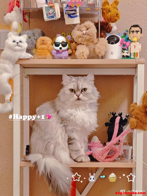 ���ո����������11.21������ʮ����