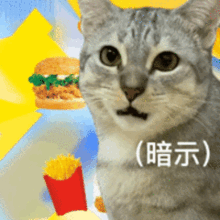 11.22���� ������Ʒ�����?