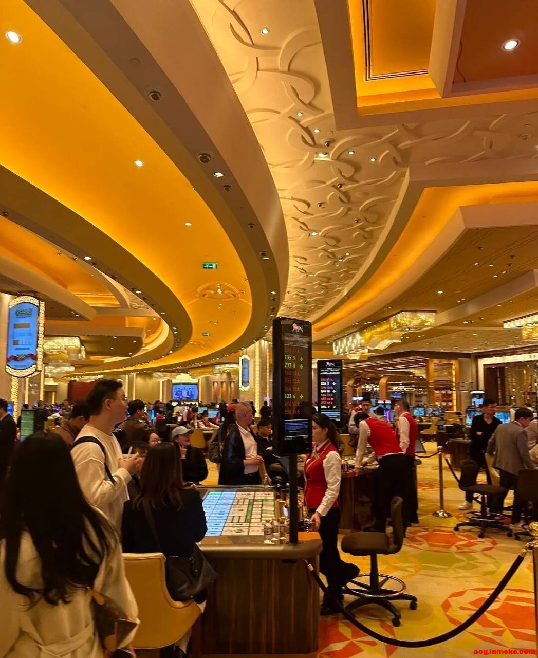 ��ʢ��˾��Ϸע���Ա��ַxs10276.com