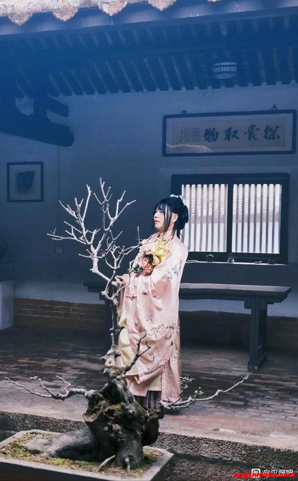 ����԰�� ��֪��ɫ����-7.jpg