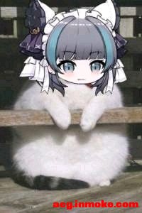 ��ʽ��װ����Щ�����أ�ԭƤ�ðͶ���