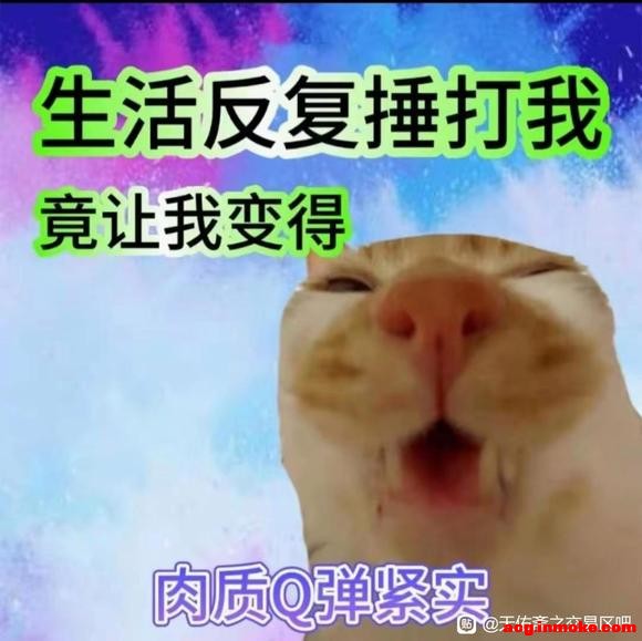 ��ʿ������Ʒ����