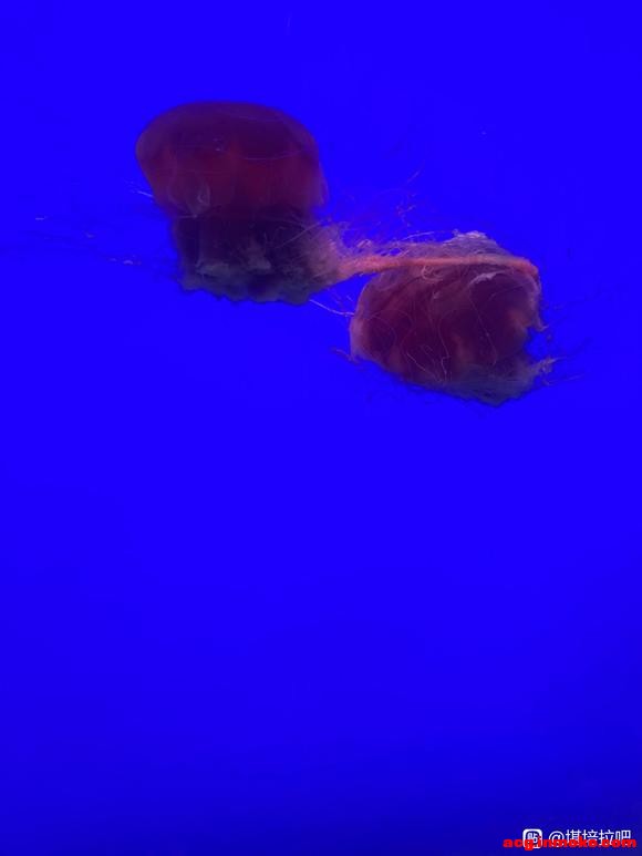 ���ĵ� �����ֽ��-1.jpg