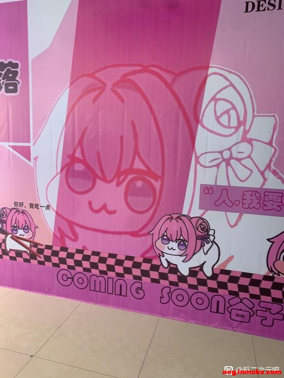 ȥ��չ������