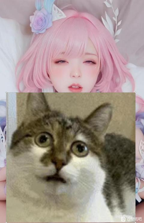 ����˭û�����ͼ�����ˡ�