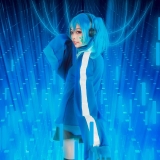 cosƬproject \\ ENE ʽװ