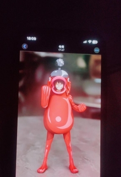 ��COS��Ƭ���������µ�·������αװ��