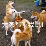 ˡػʹ