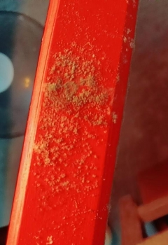 ��COS��Ƭ�����߳�ë��