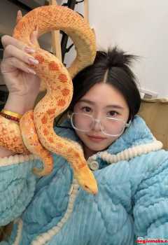 ��COS��Ƭ��ϲ�������衣�ı�����������