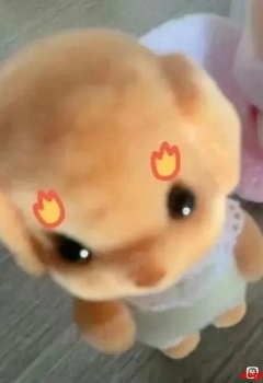 ��COS��Ƭ������Ůcos��������ͼ�� �г�