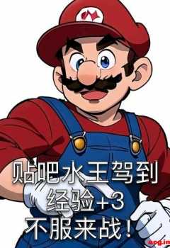 ���������Ƭ��