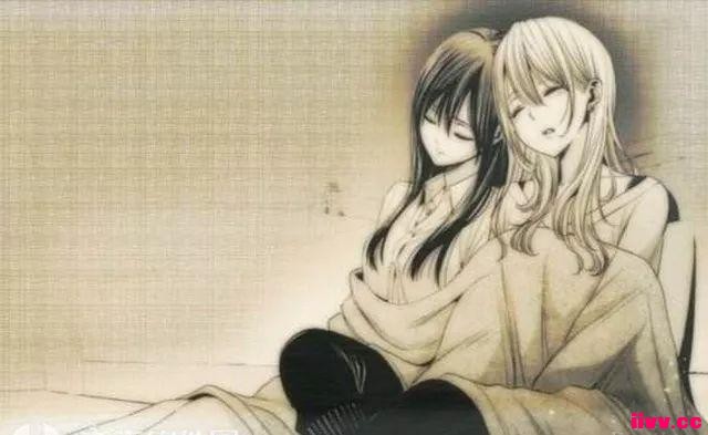 ѶľЦˣ·CP񹫲