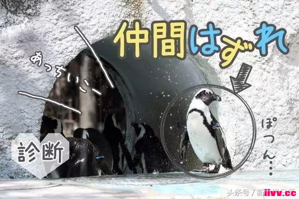 һͻըëЩ̫ʧˣ