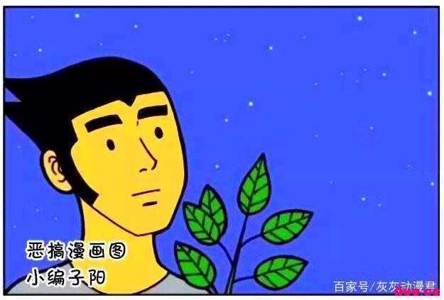 ƷһʧӰѣ̫·ѧ