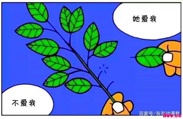 ƷһʧӰѣ̫·ѧ