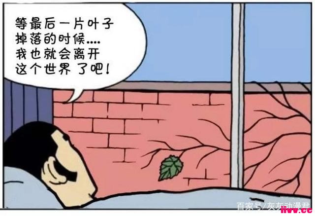 ԲڴһƬҶ50̫꣡޽