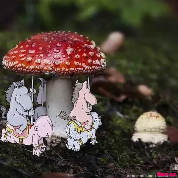 ӽ˵ʵ