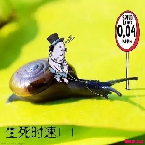 ӽ˵ʵ