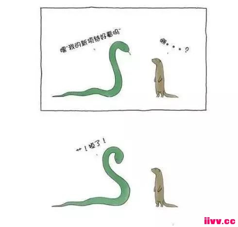 ѧ8ϵܿţ5ųů