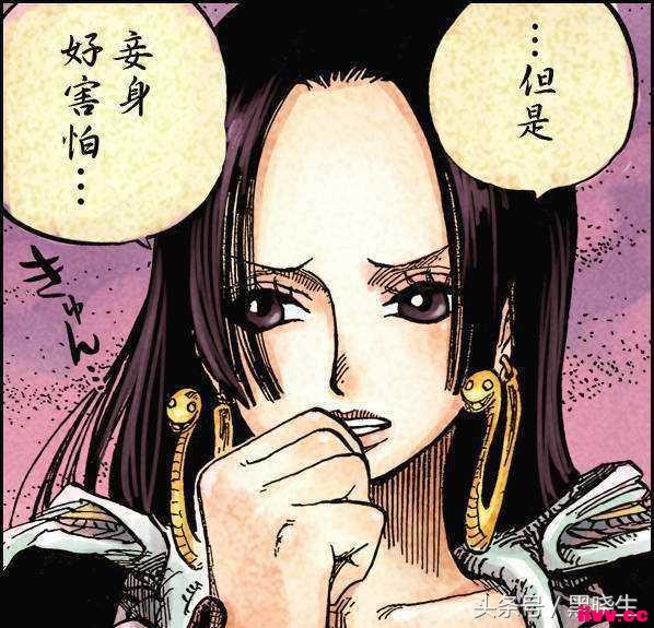 װɫϵĶħʵ𽺹ʵΪʲô⣿
