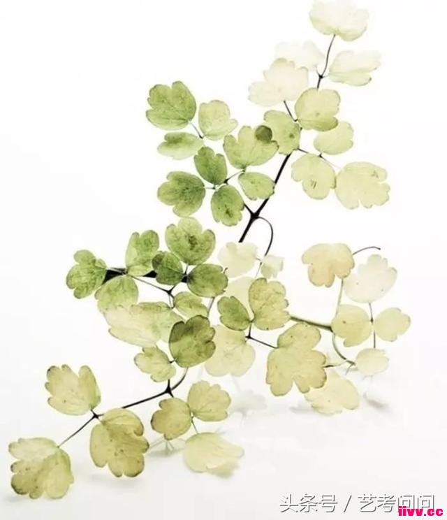 ˮʻʻͼƬ