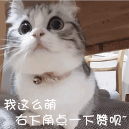 ƦƦĺϲ