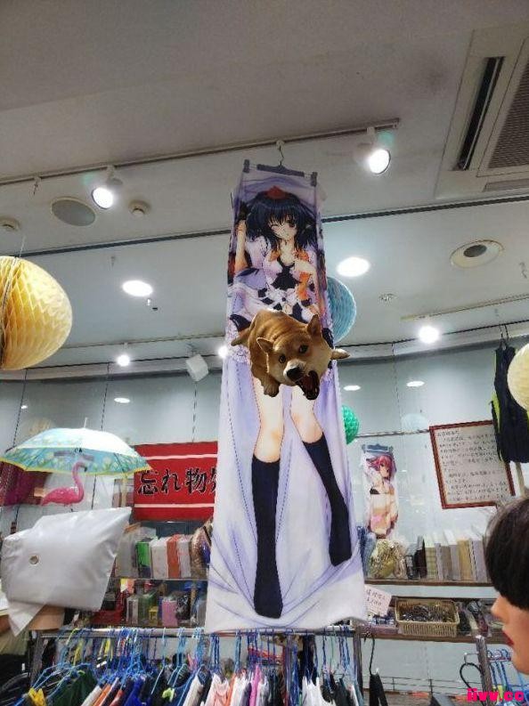 Ԫ۾ѶŮսʿëЧű