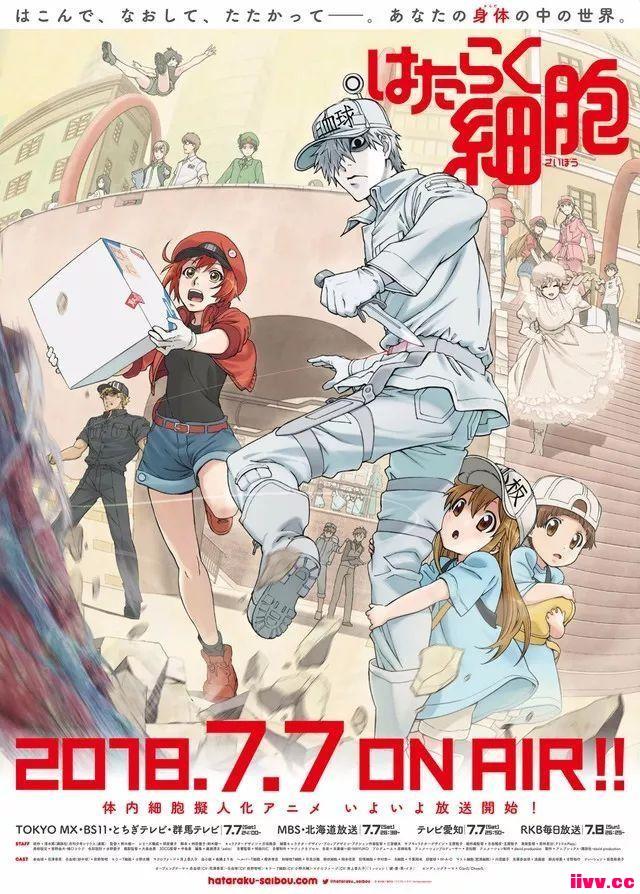 Ѷ絽׷