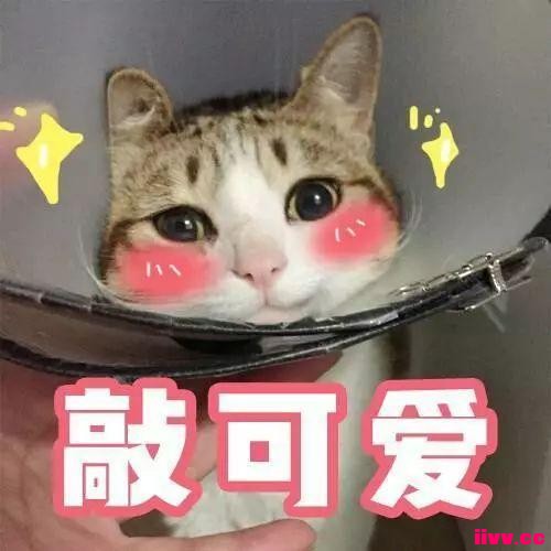 ʽഺഺЩСحѶ