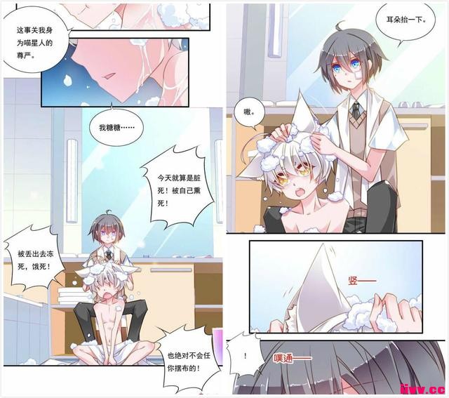 /ʺӵĶճ