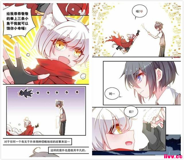 /ʺӵĶճ