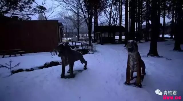 ʿɽʥѲ