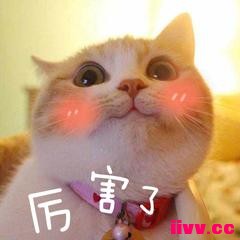 սӢһЩܵʹ÷ʽ֪٣
