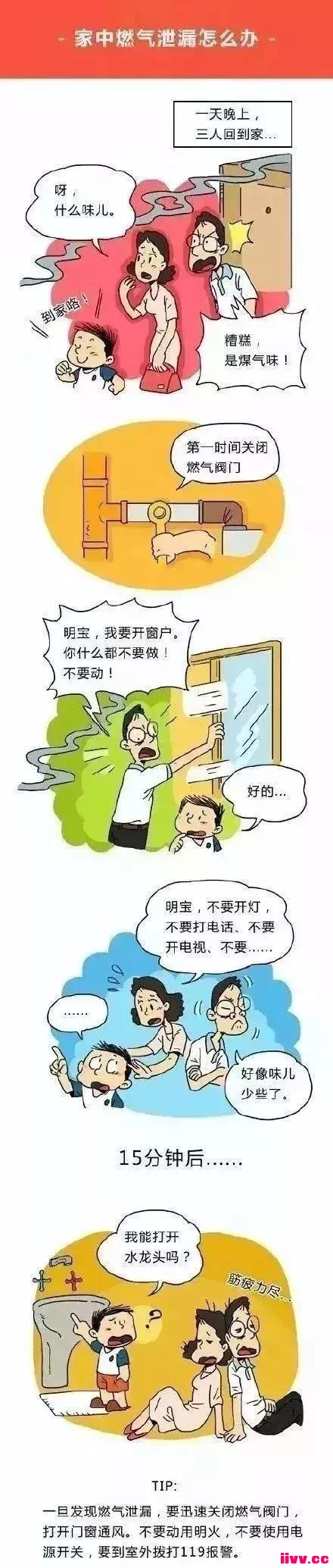 ͼѧЩͥȫ֪ʶɣ