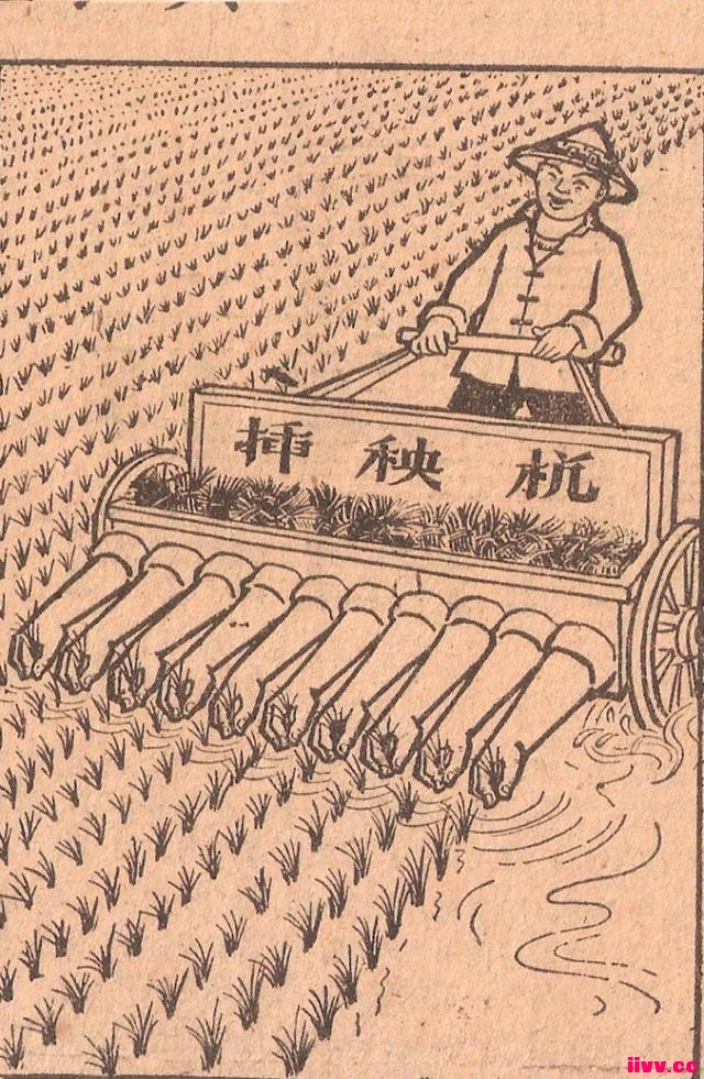 Ծ