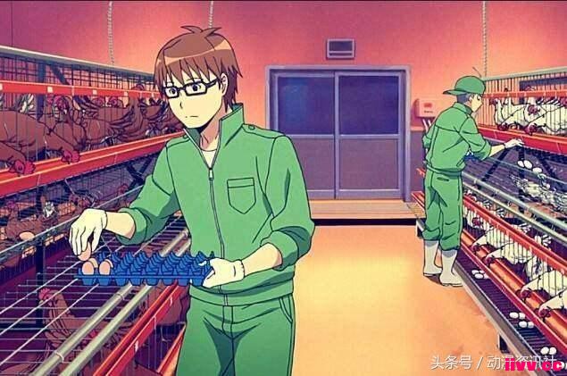 Ƽã֮̽Ѱķ֮