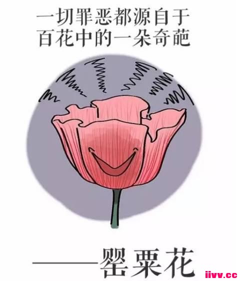 һ㣺ǿƽ䶾ô¶