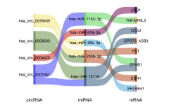 在线绘制桑基图（sankey diagram）